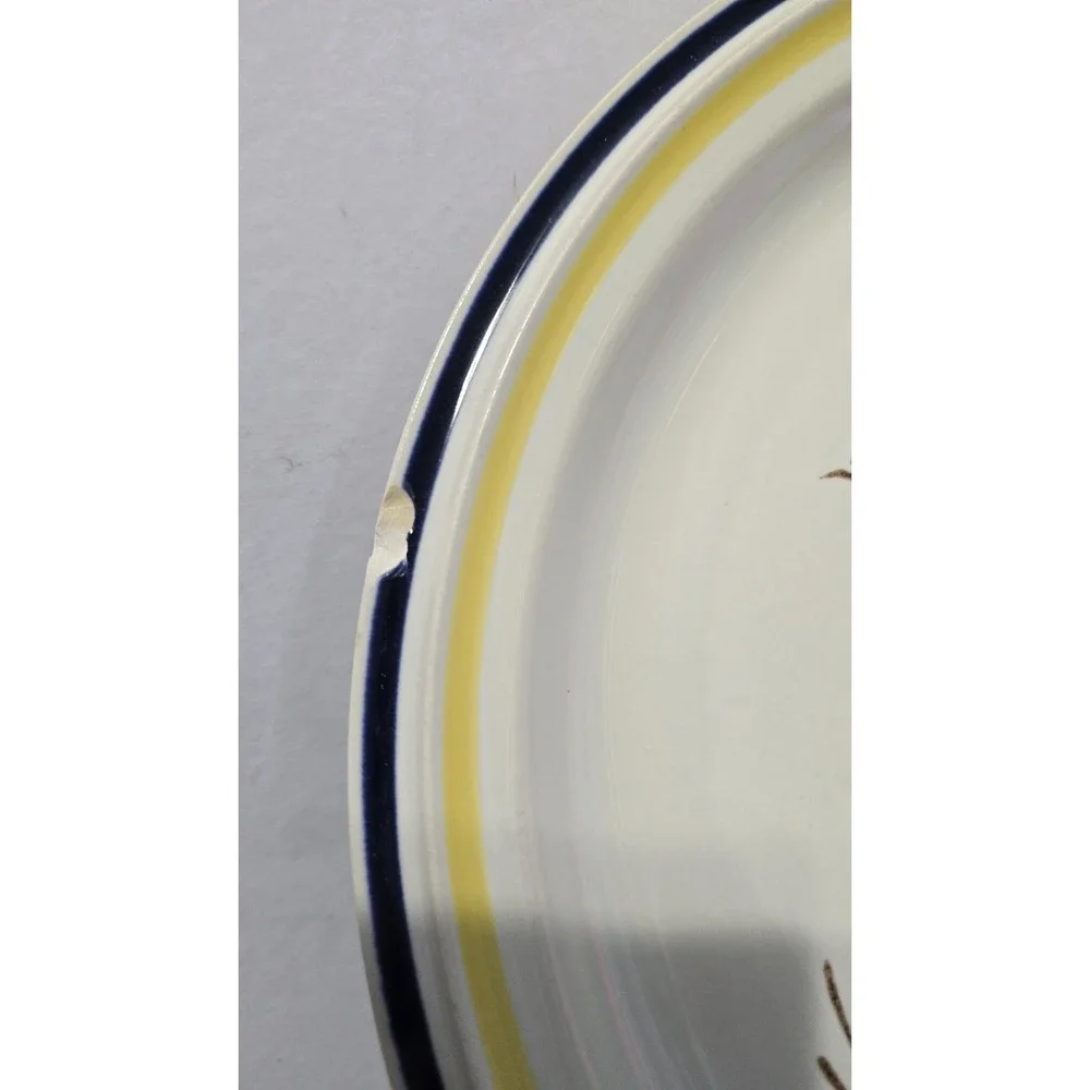 Ascor Masterpiece Oven Proof Stoneware Plate 12